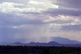 rain